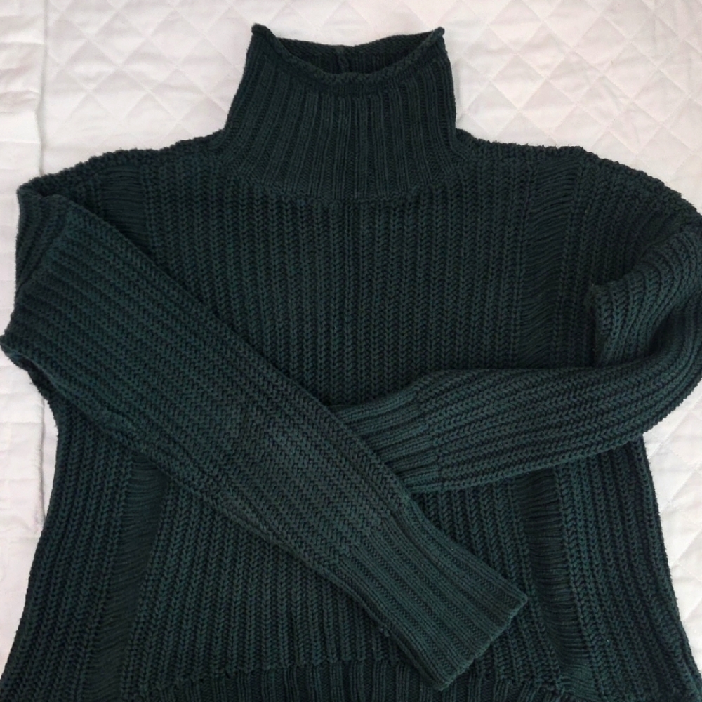 Express Deep Green Turtleneck Sweater